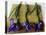 Purple Irises on a Bamboo Mat-Colin Anderson-Premier Image Canvas