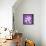 Purple Money-Herb Dickinson-Premier Image Canvas displayed on a wall