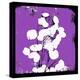 Purple Money-Herb Dickinson-Premier Image Canvas