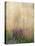 Purple Moor Grass (Molinia Caerulea)-Adrian Bicker-Premier Image Canvas