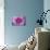 Purple Mum II-Erin Berzel-Premier Image Canvas displayed on a wall