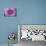 Purple Mum II-Erin Berzel-Premier Image Canvas displayed on a wall