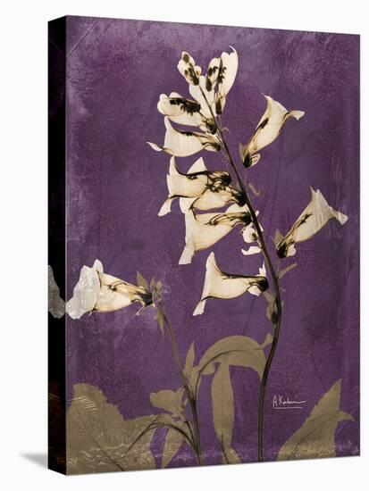 Purple Opus Foxglove-Albert Koetsier-Stretched Canvas