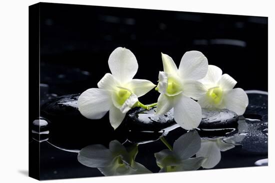 Purple Orchid and Black Stones with Reflection-crystalfoto-Premier Image Canvas