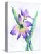 Purple Orchid-Michelle Faber-Premier Image Canvas