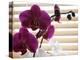 Purple Orchids II-Nicole Katano-Stretched Canvas