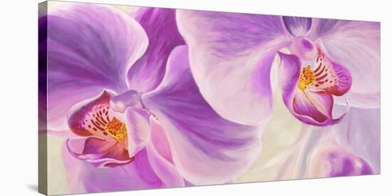 Purple Orchids-Cynthia Ann-Stretched Canvas