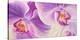 Purple Orchids-Cynthia Ann-Stretched Canvas