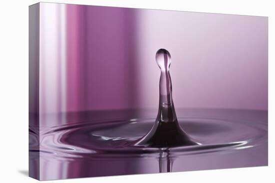 Purple Pink-Heidi Westum-Premier Image Canvas