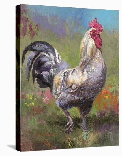 Purple Rooster-Nenad Mirkovich-Stretched Canvas