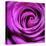 Purple Rose-null-Premier Image Canvas