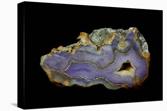 Purple Sagenite Agate, Quartzsite, AZ-Darrell Gulin-Premier Image Canvas