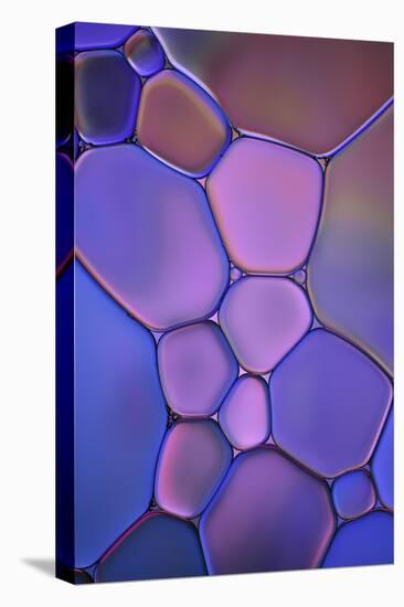 Purple Stained Glass-Cora Niele-Premier Image Canvas