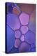 Purple Stained Glass-Cora Niele-Premier Image Canvas