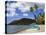 Purple Turtle Beach Club, Prince Rupert Bay, Portsmouth, Dominica, Windward Islands, West Indies-Richard Cummins-Premier Image Canvas