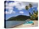 Purple Turtle Beach Club, Prince Rupert Bay, Portsmouth, Dominica, Windward Islands, West Indies-Richard Cummins-Premier Image Canvas