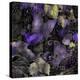 Purple Wings-Mindy Sommers-Premier Image Canvas