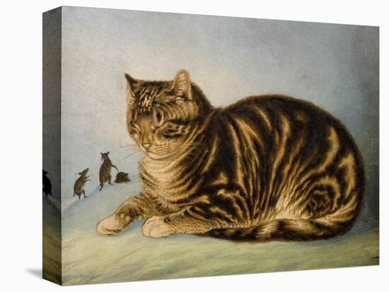 Puss Napping-George Baxter-Premier Image Canvas