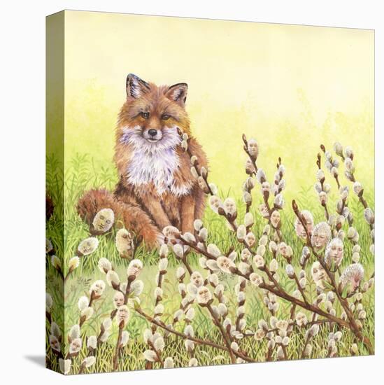 Pussywillows Fox-Wendy Edelson-Premier Image Canvas
