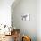 Pygmy Goat-DLILLC-Premier Image Canvas displayed on a wall