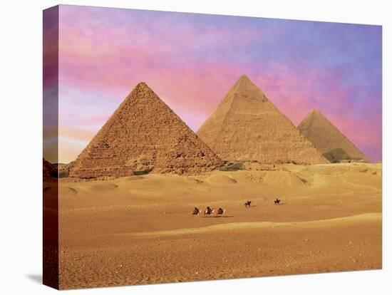 Pyramids at Sunset, Giza, Cairo, Egypt-Miva Stock-Premier Image Canvas