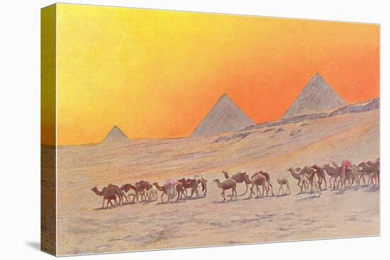 Pyramids, Camels, Egypt-null-Stretched Canvas