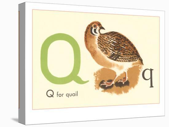 Q is for Quail-null-Stretched Canvas