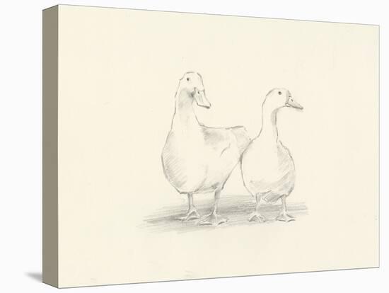 Quack Quack II-Ethan Harper-Stretched Canvas
