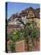 Quai De La Poissonnerie, Colmar, Alsace, France, Europe-Thouvenin Guy-Premier Image Canvas