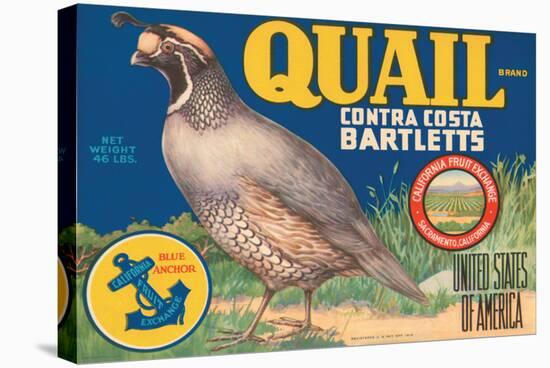 Quail Brand Contra Costa Bartletts-null-Stretched Canvas