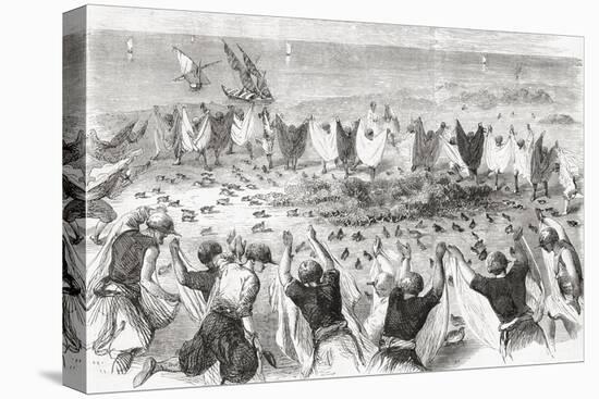 Quail Hunting on the Coast of Syria. from 'L'Univers Illustré', Published 1866-null-Premier Image Canvas