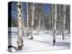 Quaking Aspens in Snow-James Randklev-Premier Image Canvas
