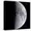 Quarter Moon-null-Premier Image Canvas