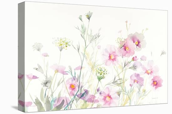 Queen Annes Lace and Cosmos on White-Danhui Nai-Stretched Canvas