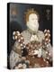 Queen Elizabeth I - the Pelican Portrait, C.1574-Nicholas Hilliard-Premier Image Canvas