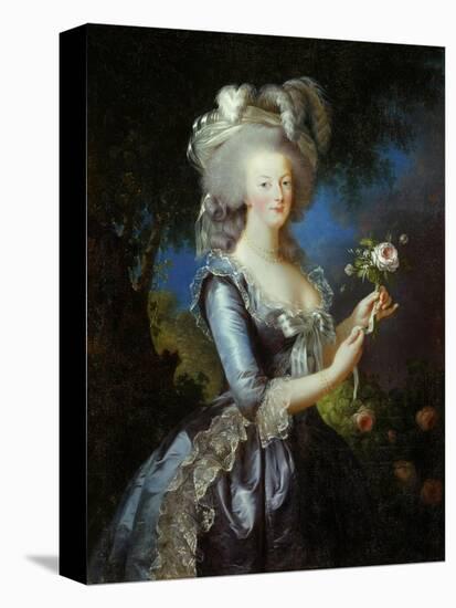 Queen Marie Antoinette with a Rose, 1783-Elisabeth Vigee Le Brun-Stretched Canvas