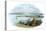 Queenstown/Cobh, Harbour for Cork City-null-Premier Image Canvas