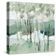 Quiet Birch Forest I-null-Stretched Canvas