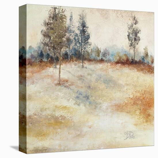 Quiet Forest II-Patricia Pinto-Stretched Canvas