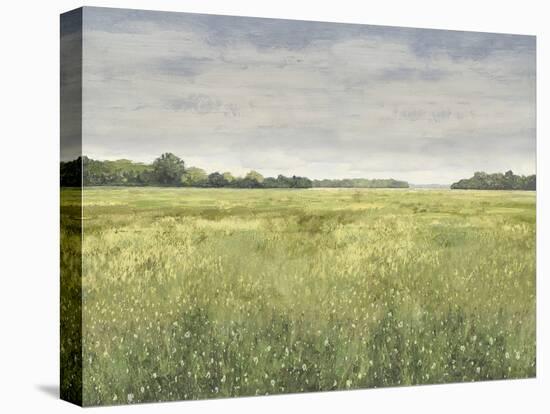 Quiet Meadow - Summer-Paul Duncan-Stretched Canvas