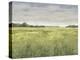 Quiet Meadow - Summer-Paul Duncan-Stretched Canvas