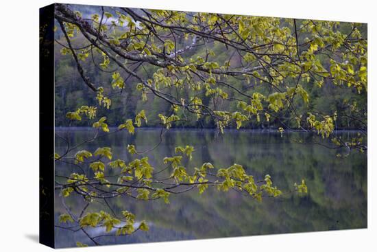 Quiet Morning in Fall, Cabot Trail, Cape Breton, Nova Scotia, Canada, North America-Patrick J. Wall-Premier Image Canvas