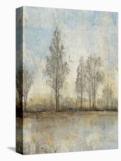 Quiet Nature II-Tim OToole-Stretched Canvas
