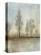 Quiet Nature II-Tim OToole-Stretched Canvas