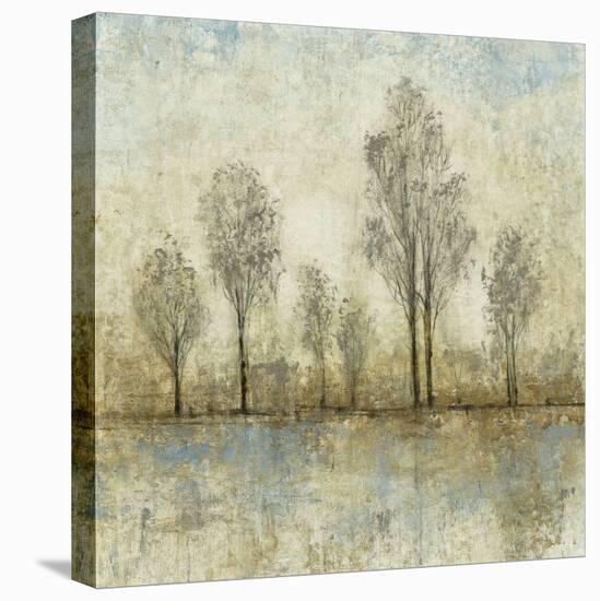 Quiet Nature III-Tim OToole-Stretched Canvas