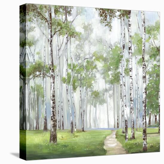 Quiet Path-Allison Pearce-Stretched Canvas