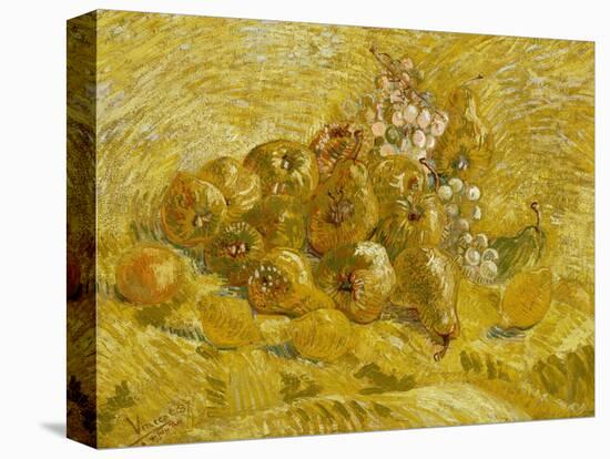Quinces, Lemons, Pears and Grapes, 1887-1888-Vincent van Gogh-Premier Image Canvas