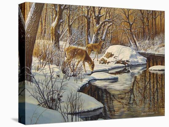 Quinnipiac River White Tails-Bruce Dumas-Premier Image Canvas