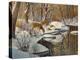 Quinnipiac River White Tails-Bruce Dumas-Premier Image Canvas