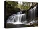 R.B. Ricketts Falls, Ricketts Glenn State Park, Pennsylvania, USA-James Hager-Premier Image Canvas